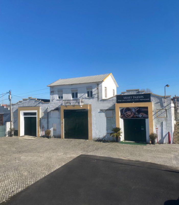 WhatsApp Image 2023-01-31 at 00.17.05